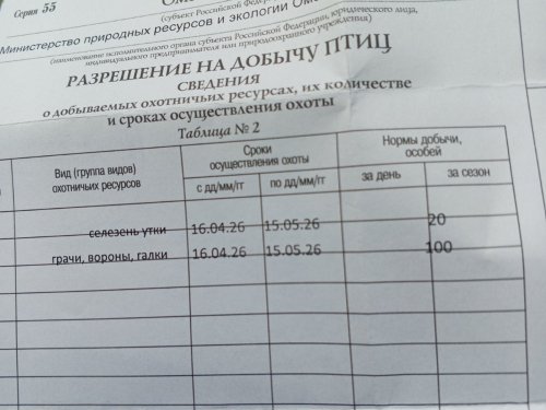 Весна 2026.