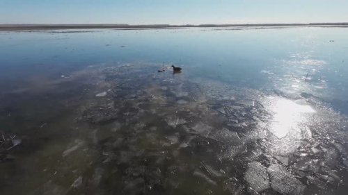Утиная охота всего сезона
