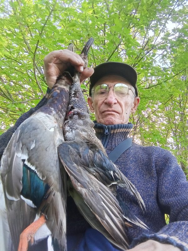 Сезон продолжается.