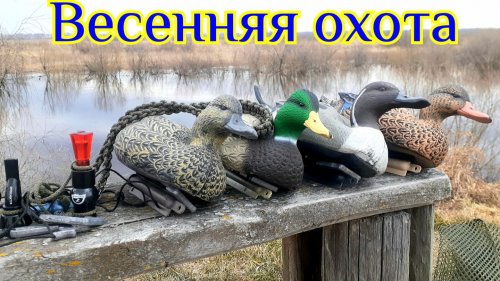 Охота | Весна 2026 | Готовлю чучела | Ураган на вечёрке