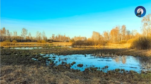 ВЕСЕННЯЯ ОХОТА 2026. ПОГОДА ЧУДИТ
