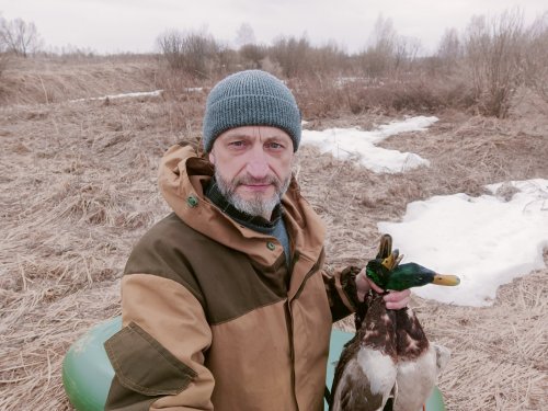 Было холодно, но селезня это не смущало